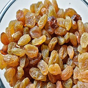 Raisins | What to Feed Birds from the Kitchen
