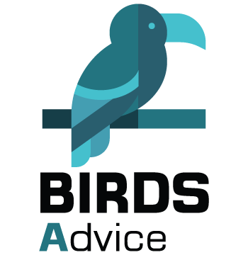 Birds Advice logo