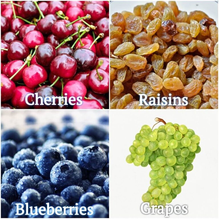 What Do Birds Eat in the Winter? Winter Food Birds Advice