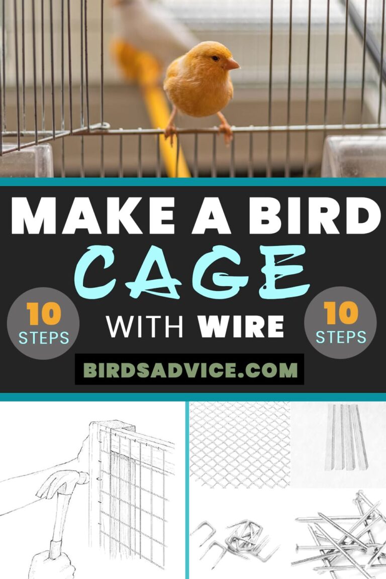 How To Make A Bird Cage With Wire In 10 Simple Steps