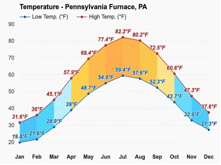 Feeding Winter Birds In Pennsylvania Birds Advice