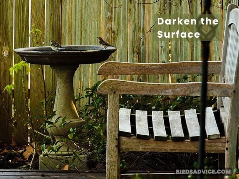 How To Keep Bird Bath From Freezing Without Electricity?