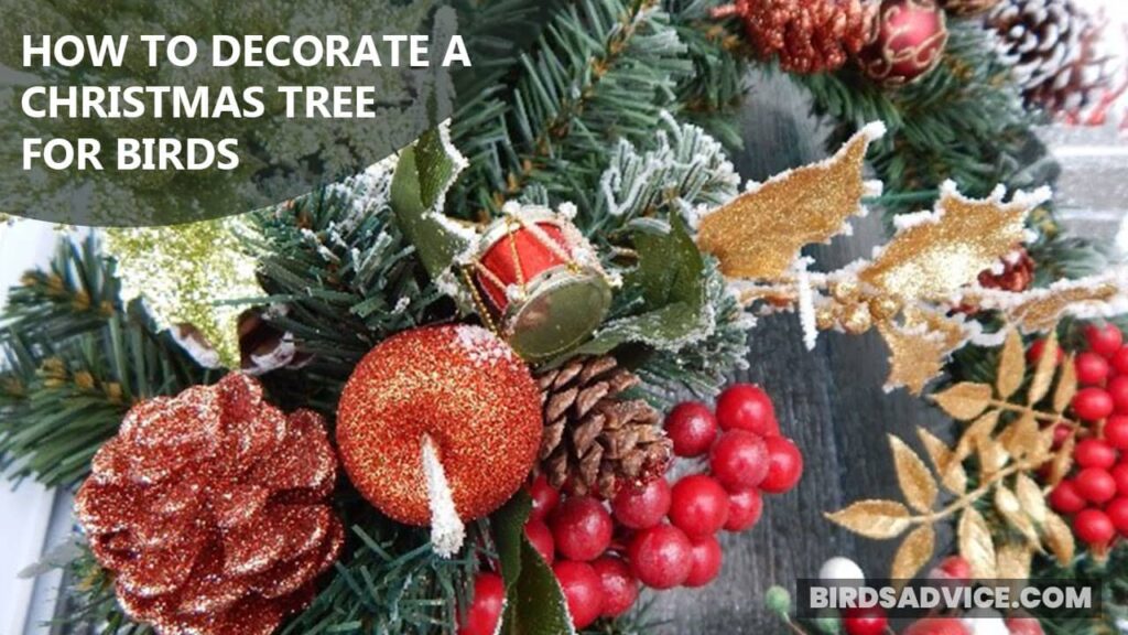 3 SIMPLE Steps To Decorate A Christmas Tree For Birds