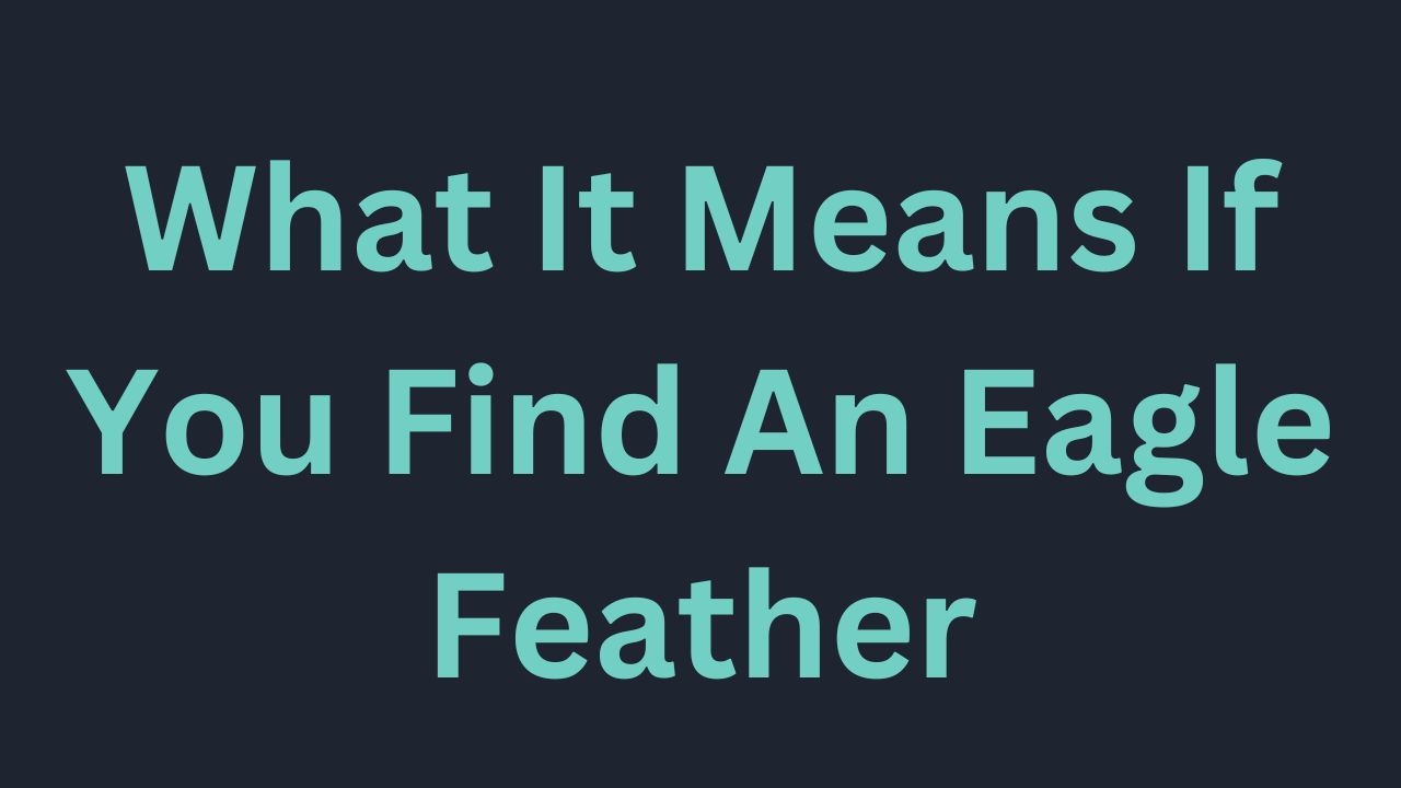 Eagle Symbolism Everything You Need To Know Birds Advice