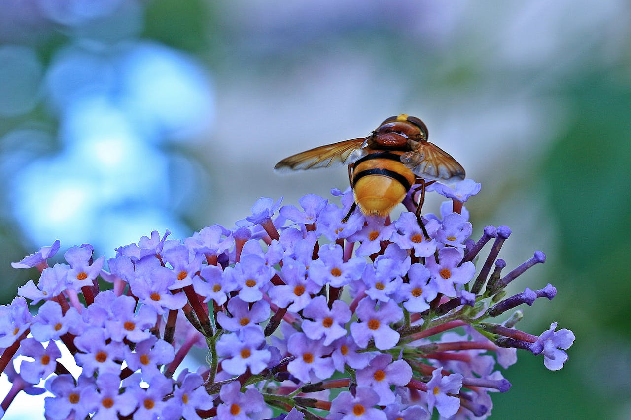 Morgan Freeman Converted His 124-Acre Ranch Into a Honey Bee Sanctuary ...