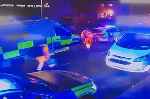 Pitbull that ‘killed’ man caught lunging at face of child on camera days before ‘fatal attack’