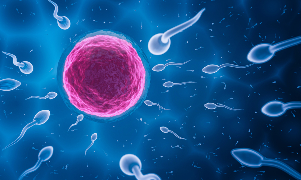 New Study Found Microplastics In Every Single Human Semen Sample