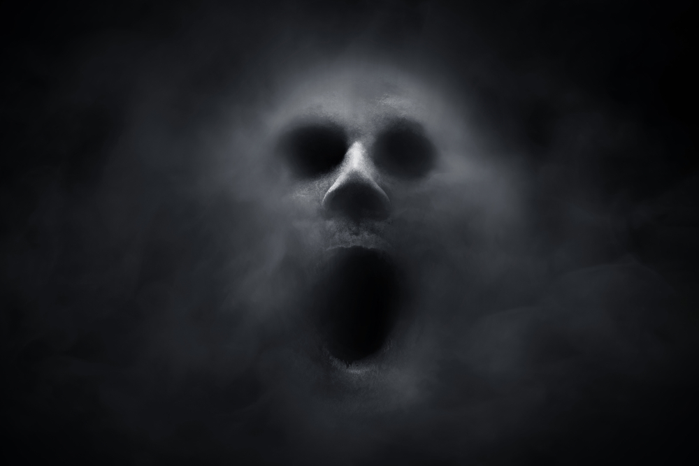 Ghost That Screamed Photo’ Taken After Boy, 16, Died in Car Crash is ‘Proof of the Afterlife’
