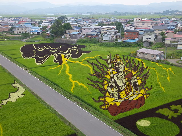 Watch – Japanese Farmers Turn Rice Fields to Incredible Works of Art to Get People Interested in Farming Again!