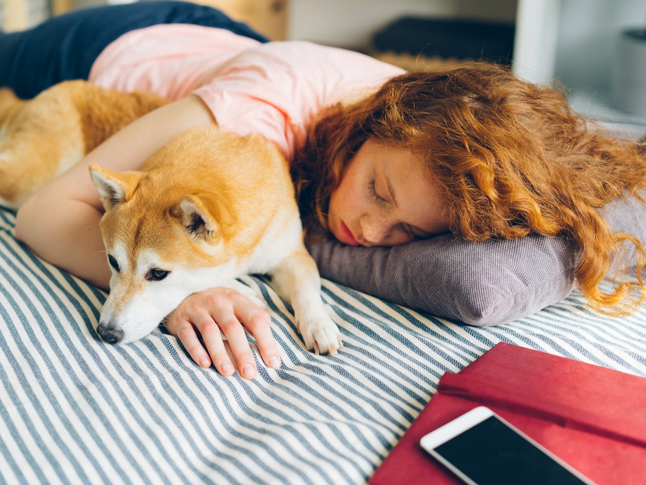 Study Shows Women Sleep Better Next to a Dog Than with a Man