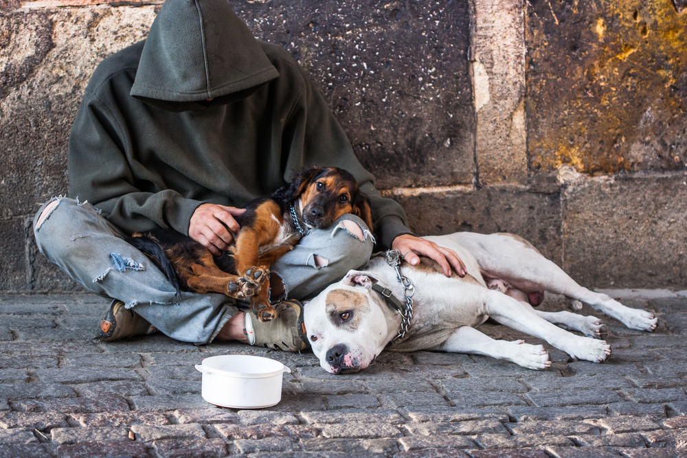 Homeless Man Throwing Birthday Party for His Dog Goes Viral and Leads Them to a Better Life