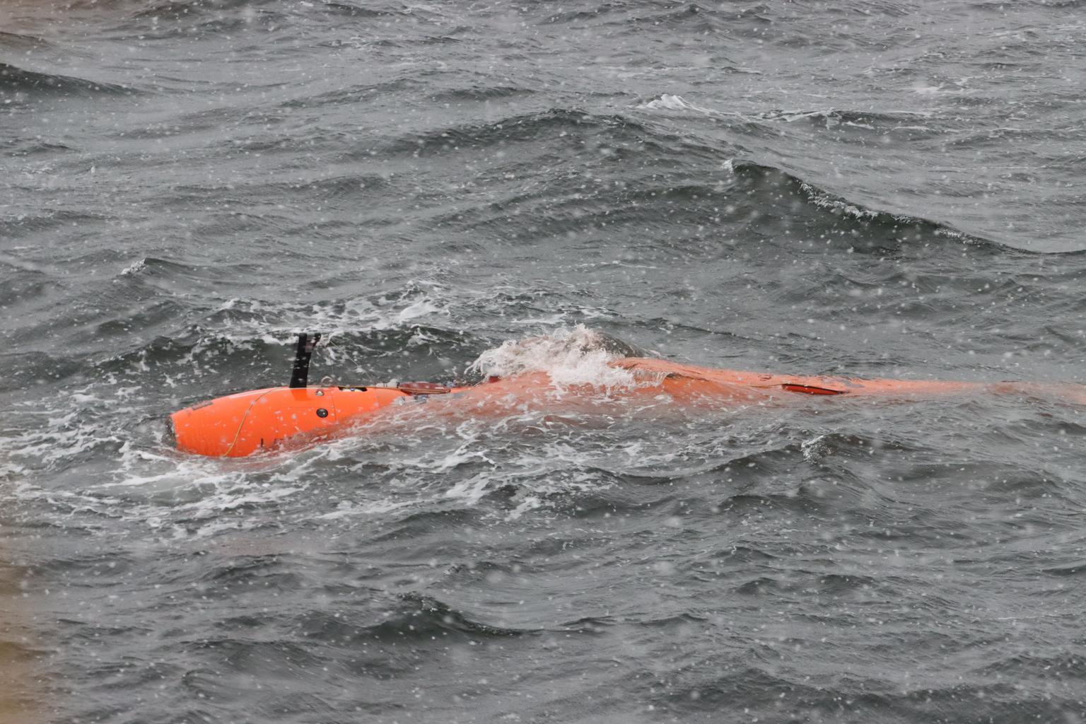 Lost Underwater Drone Captured Never-Before-Seen Formations Beneath Antarctic Ice