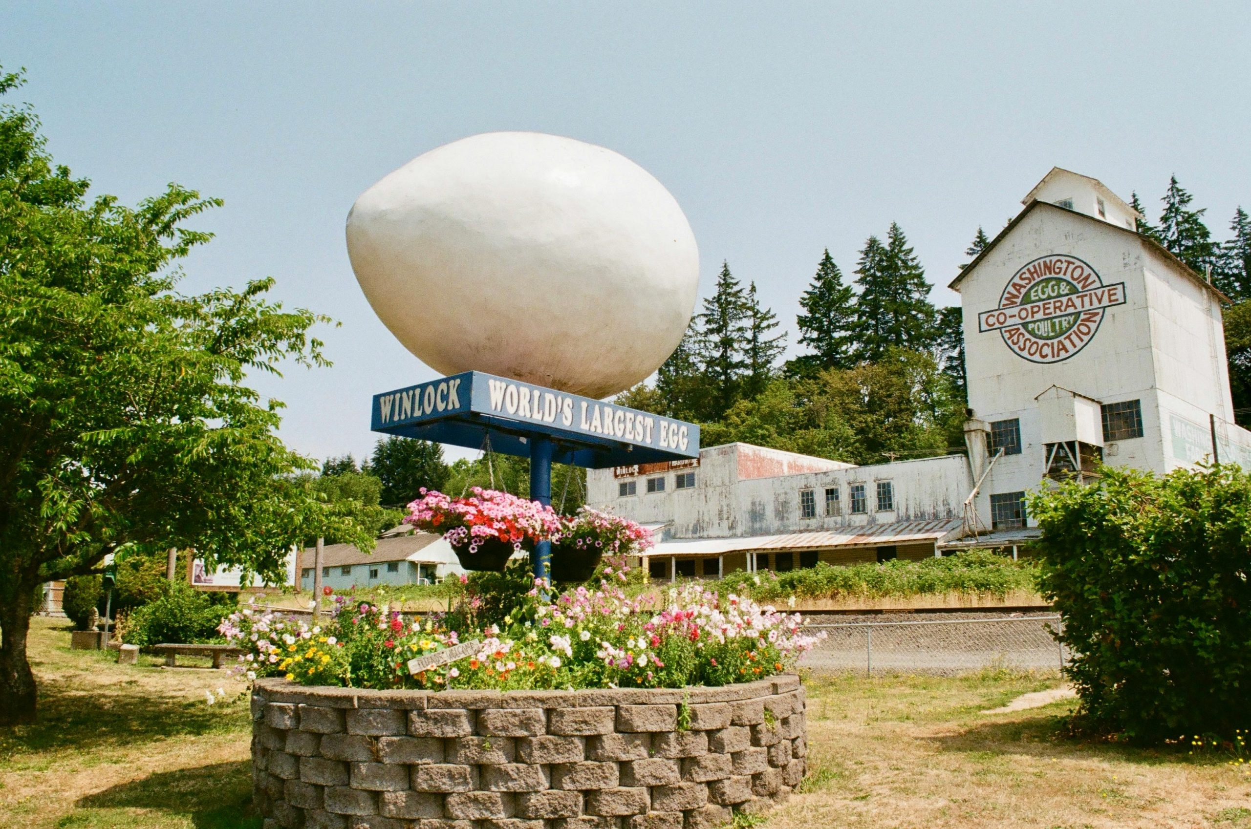 How a Simple Agate Became a Dinosaur Discovery