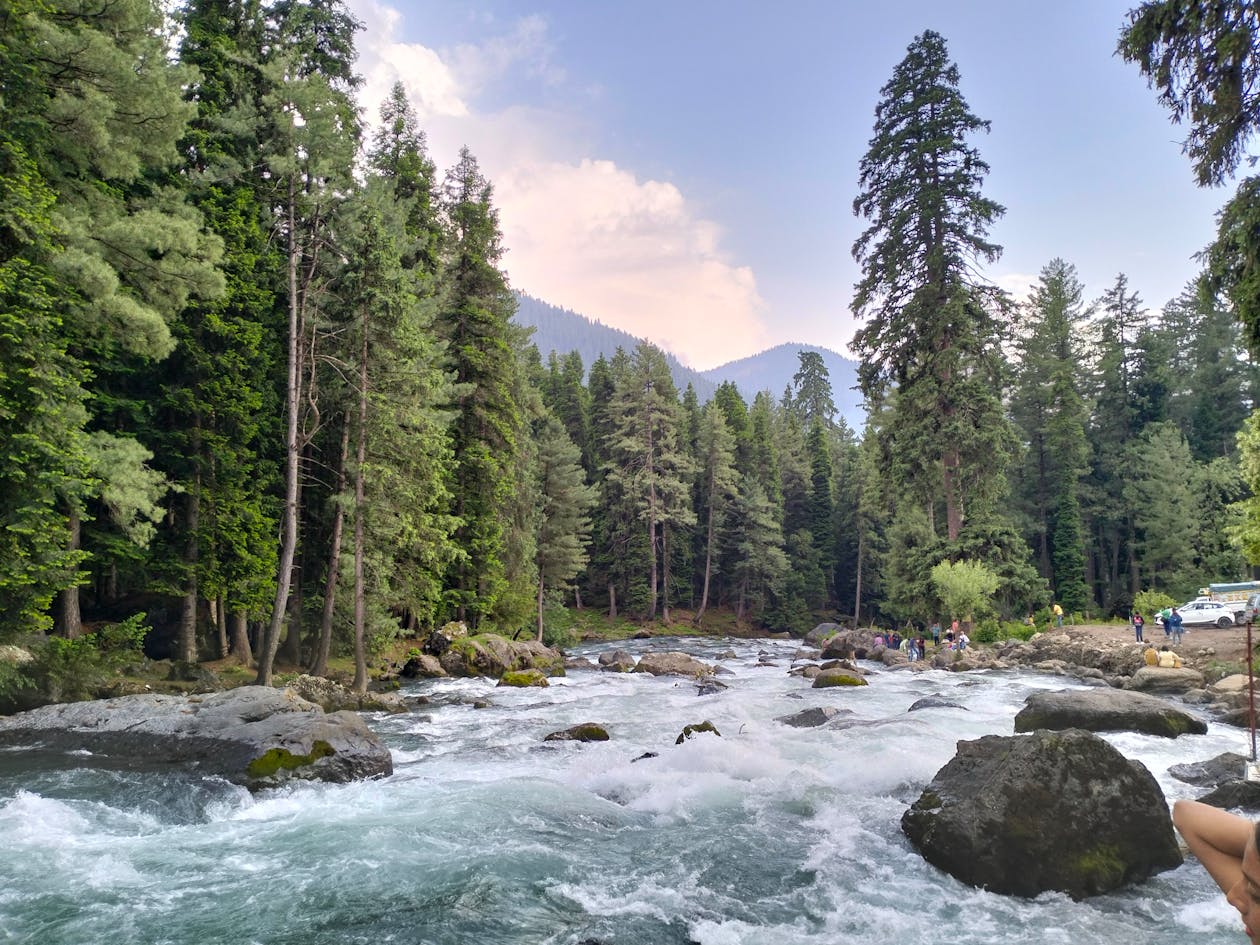Yurok Tribe Reclaims 73 Square Miles of Ancestral Land in California’s Largest Land Back Deal