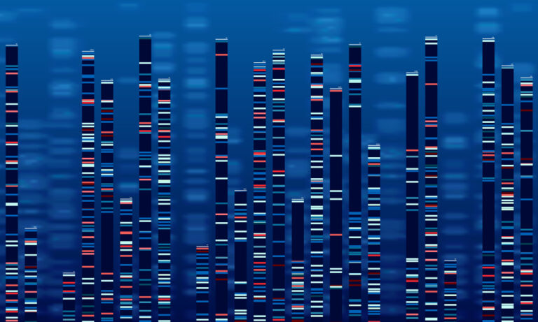 The Human Genome Has Now Been Mapped At The Smallest Level Possible