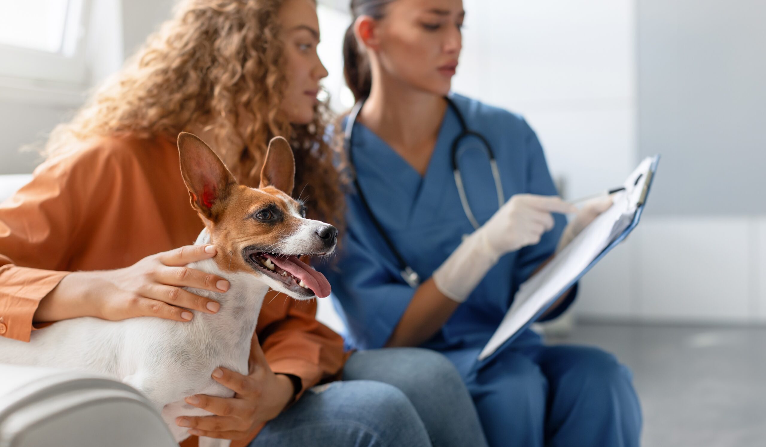 New 2026 Pet Laws Every U.S. Owner Should Know