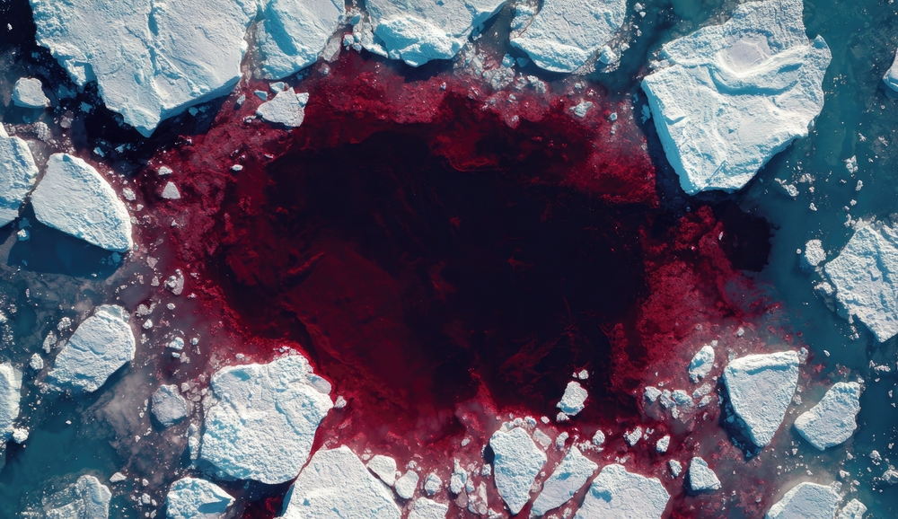 The Antarctic Waterfall That Bleeds Red in the Coldest Place on Earth