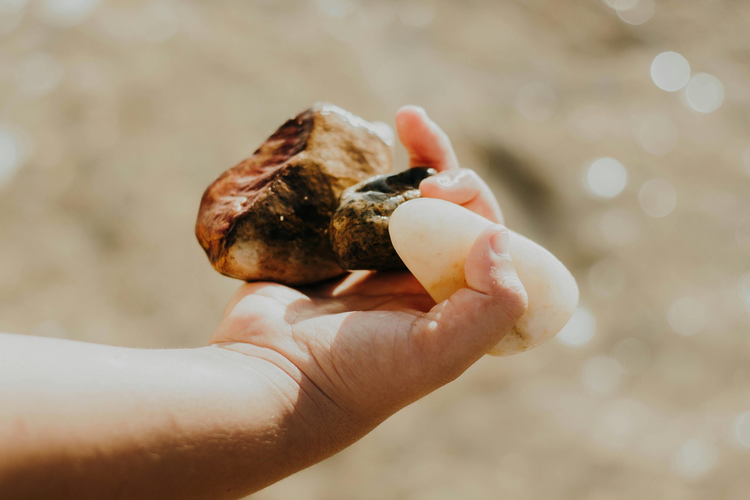 Woman Finds Smiling Fossil on Holy Island