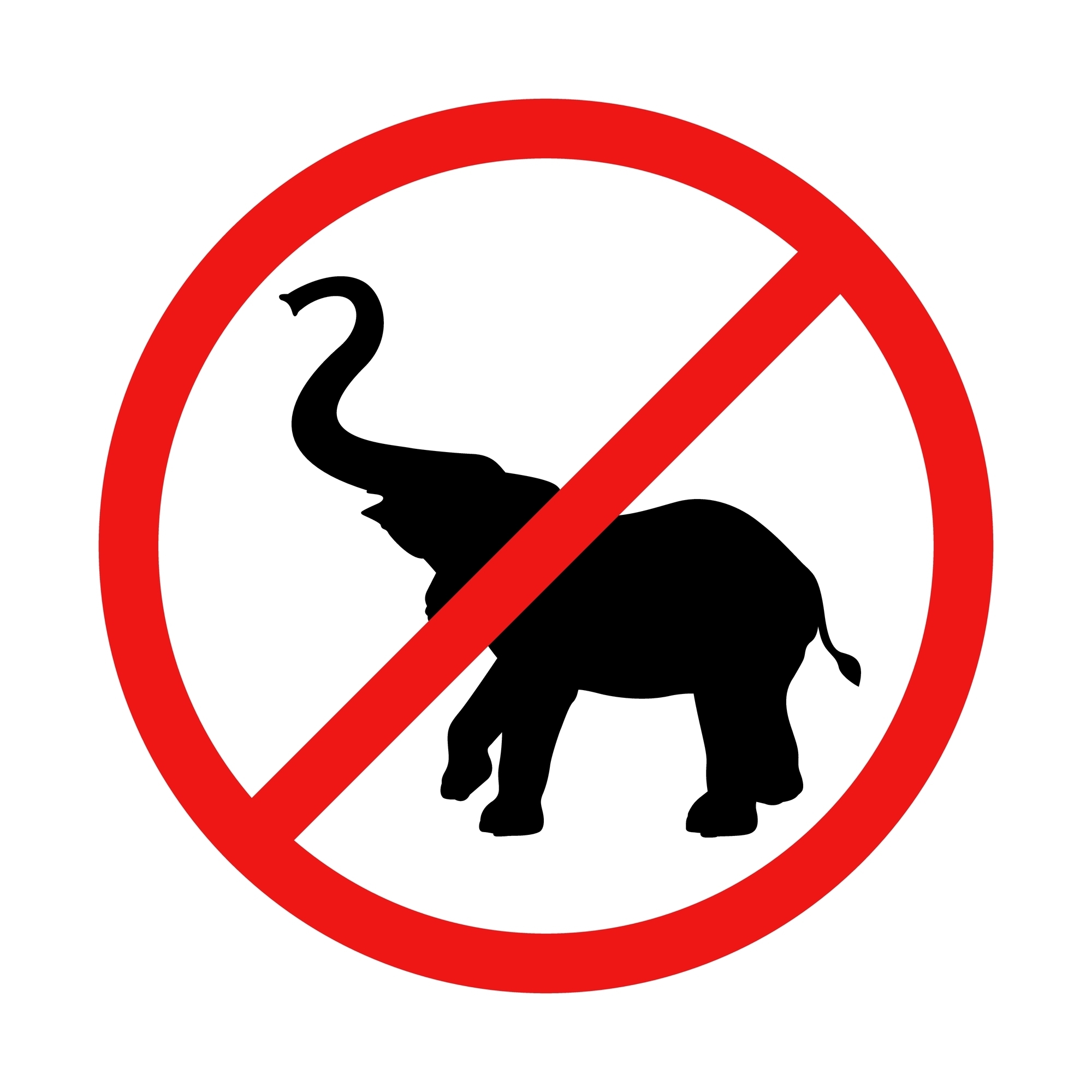 Indonesia Ends Elephant Rides Nationwide in Major Win for Animal Welfare