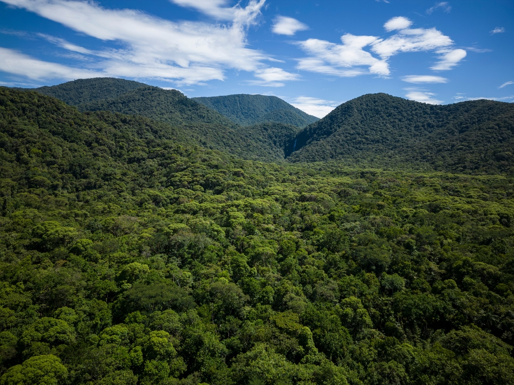Three Nations Unite to Protect the Mayan Jungle, A 14 Million Acre Bet on Nature, Culture, and Cooperation