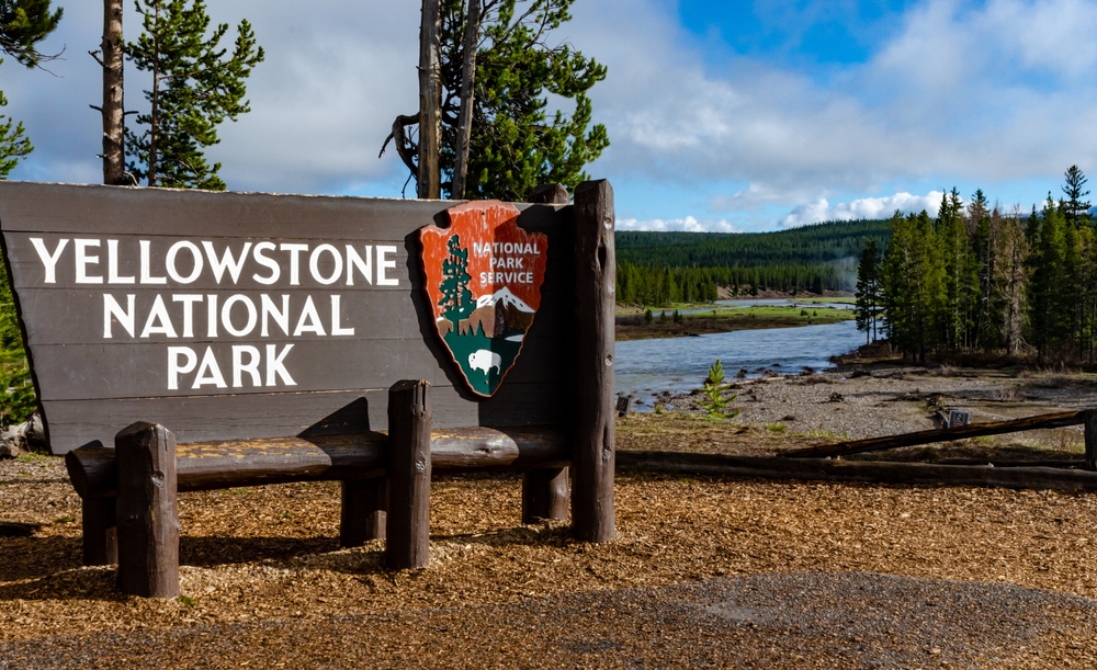 Yellowstone’s Largest Acidic Geyser Awakens After Six Years of Dormancy