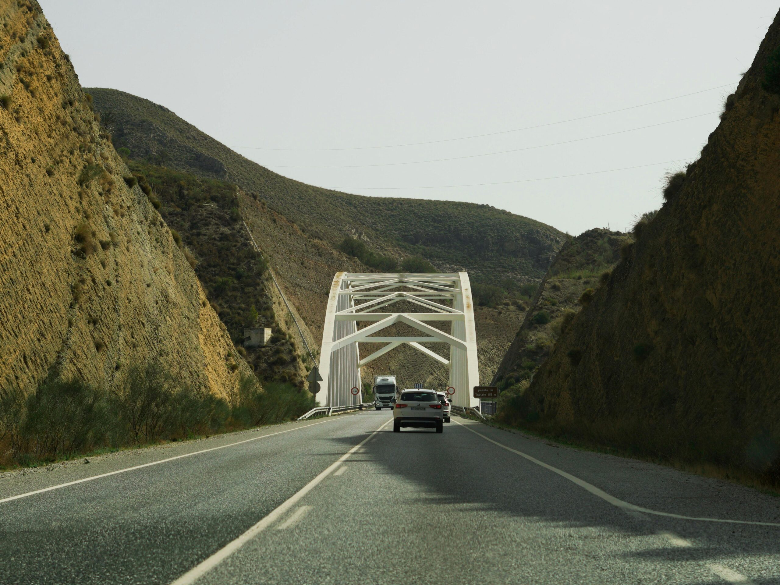 A Huge New Wildlife Bridge is Reconnecting Nature One Crossing at a Time