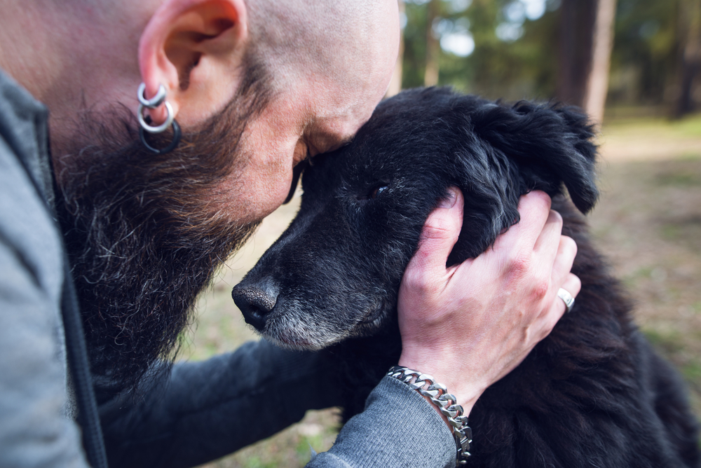 Restaurant’s Heartfelt Response Stuns Man Ordering a Final Steak for His Dog