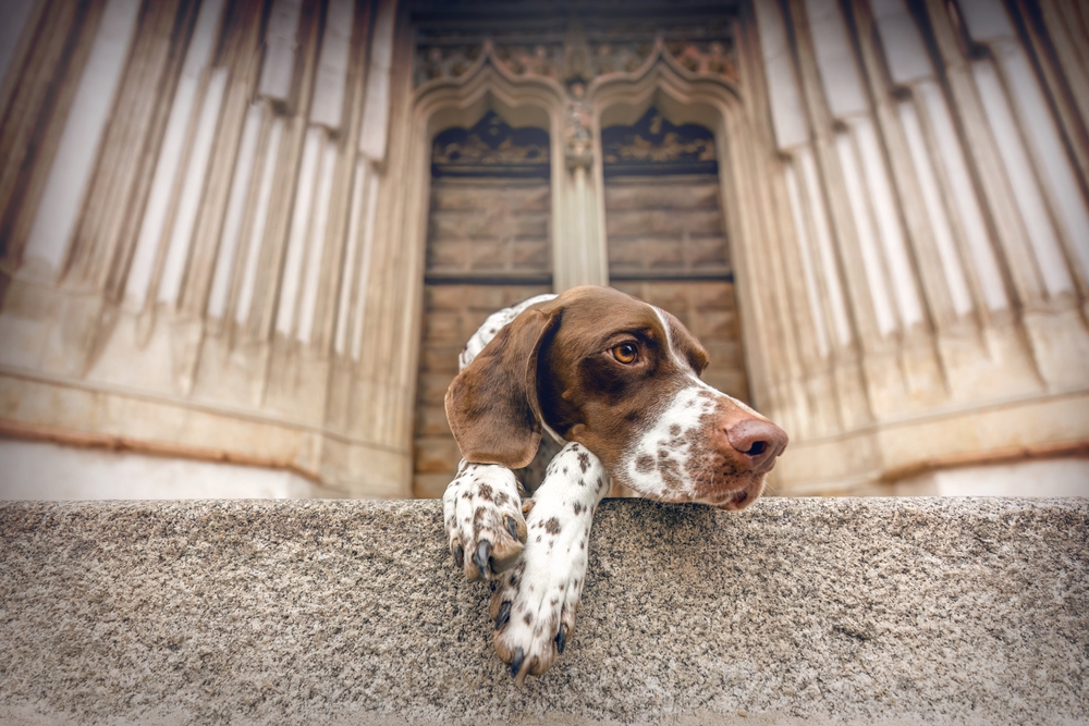He Came Looking For Food, But Found A Family And A Purpose At The Altar