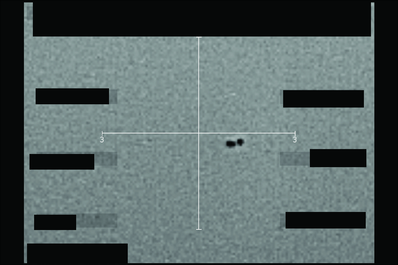 The US Government Just Published Its UFO Files Online. Anyone Can Read Them. Here’s What They Say.