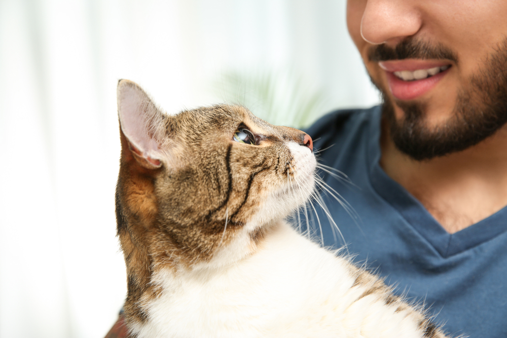 Former Heroin Addict Says One Stray Cat Completely Turned His Life Around