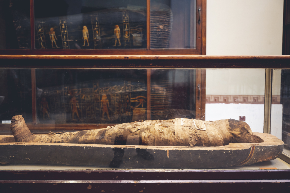 A 1,600-Year-Old Egyptian Mummy Was Carrying Homer’s Iliad in Its Abdomen, and Archaeologists Have No Idea Why