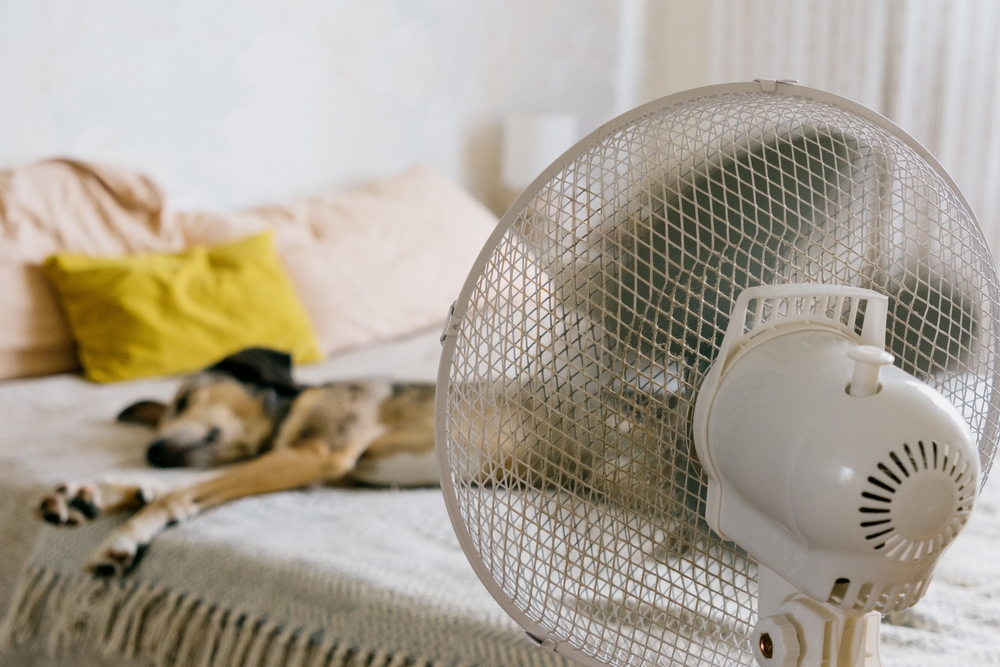 Doctor Warns Nighttime Fan Use Could Be Causing Hidden Health Problems