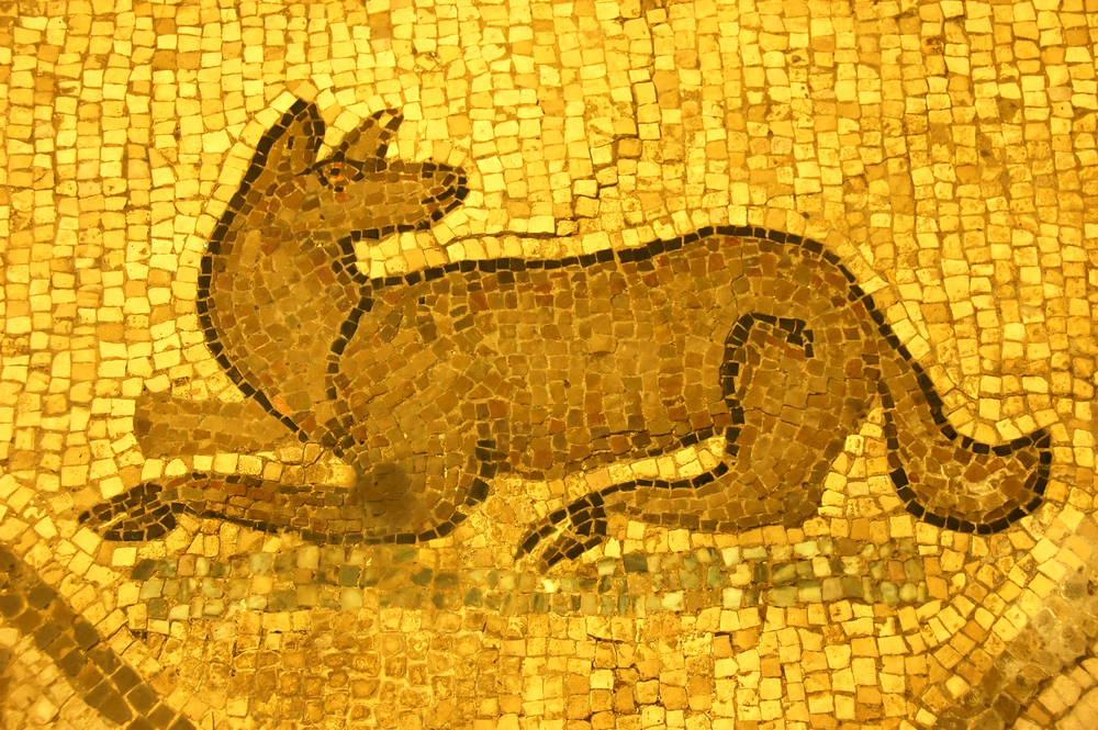 These 2,000-Year-Old Dog Epitaphs From Ancient Rome Are Breaking Hearts Online