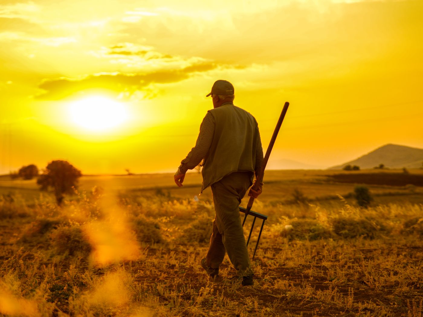 Pennsylvania Farmer, 86, Turns Down $15 Million to Save His Land From a Data Center