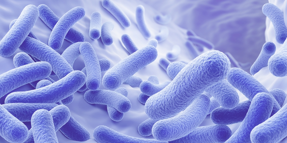 Is This Microbe Evolving Into a Virus Right Before Our Eyes?
