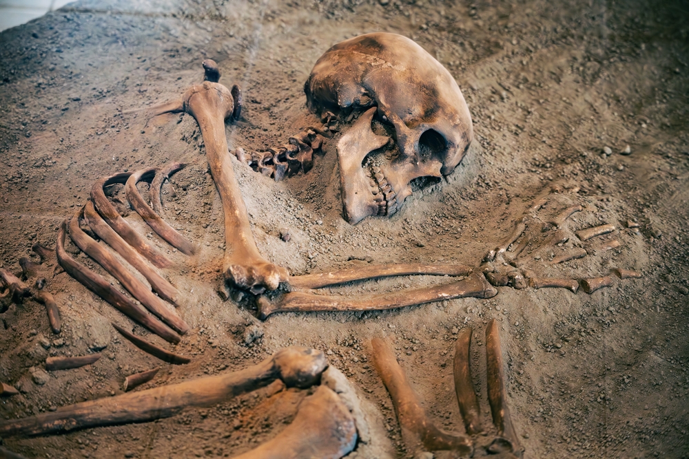 Earliest Known Evidence of the Plague Reveals a Deadly Outbreak 5,500 Years Ago