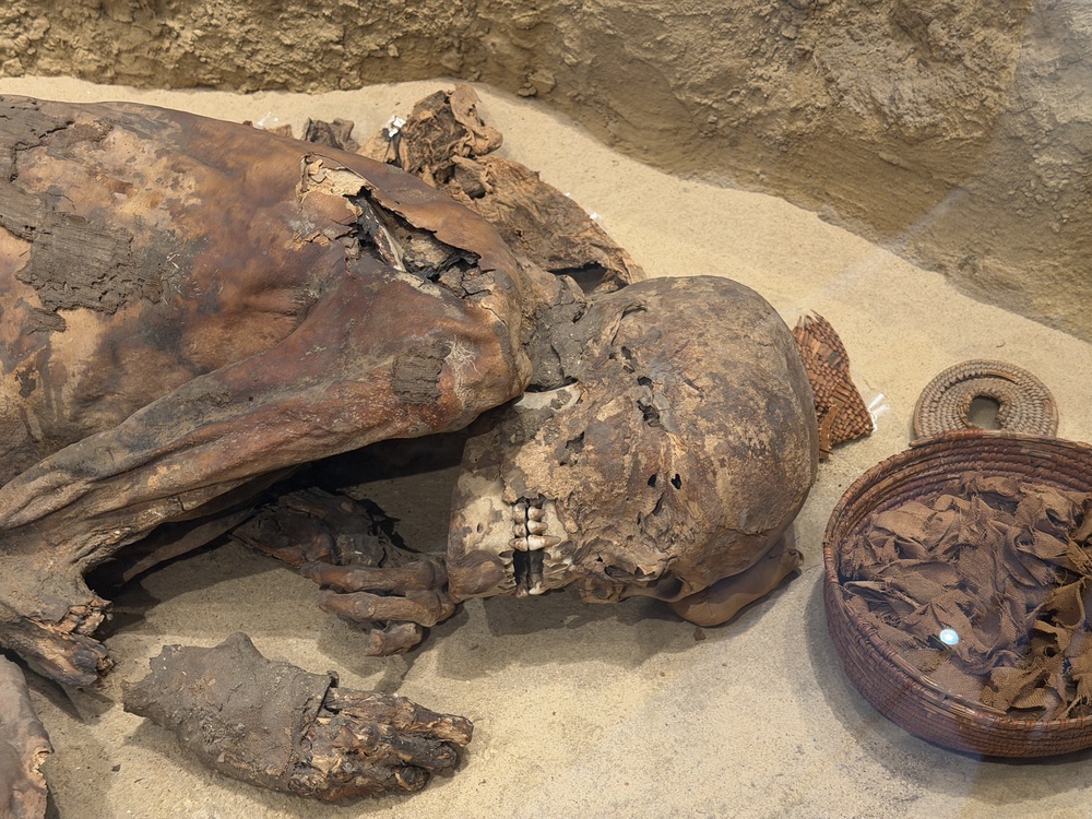 Living Microbes Found Inside a 5,300-Year-Old Mummy