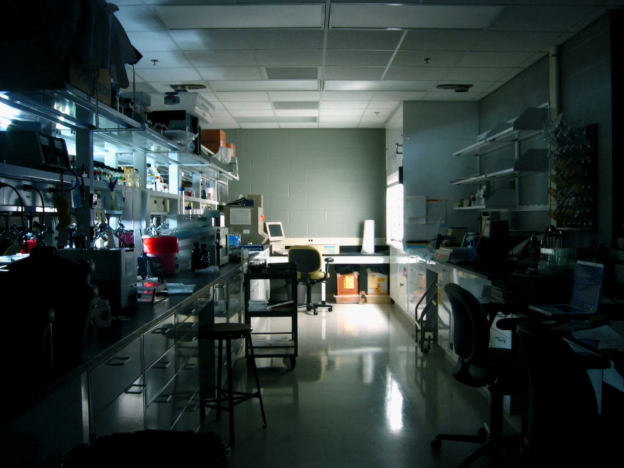 The Great American Brain Drain: Why U.S. Scientists Are Relocating Abroad