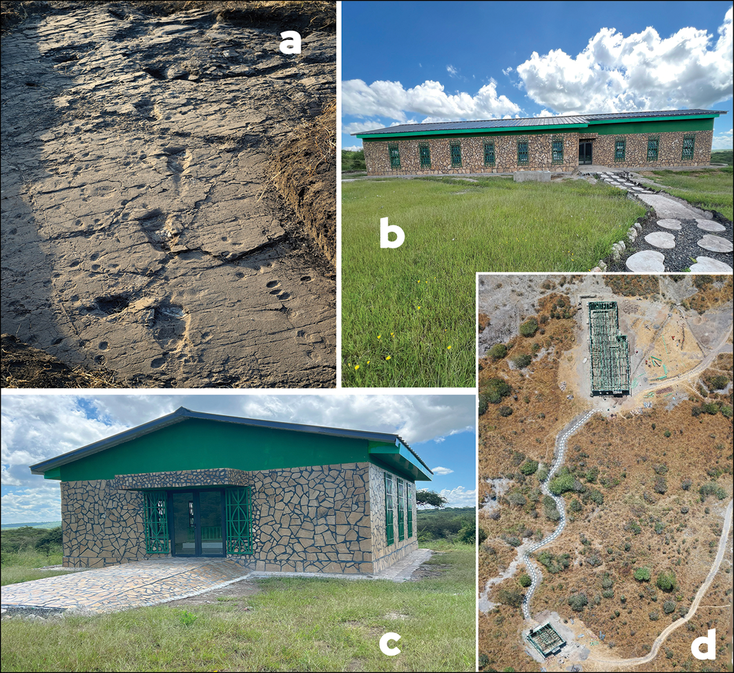 The Oldest Hominin Footprints Ever Found Are at Risk of Destruction, Researchers Warn