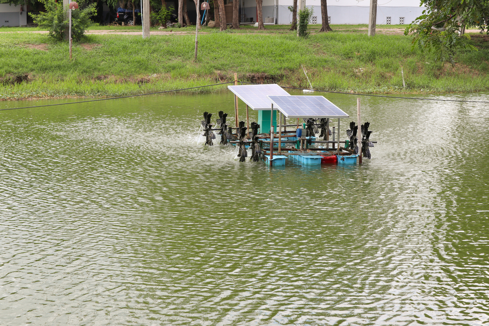 Scientist Creates Solar Device That Pulls 270 Gallons of Drinking Water From Thin Air Every Day