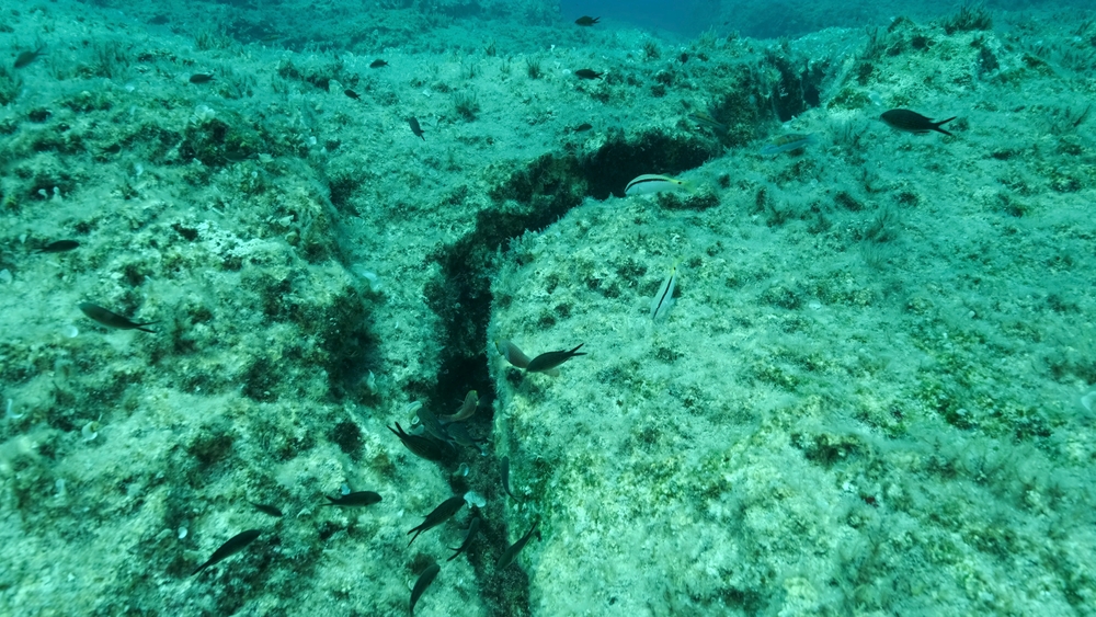 Scientists Just Watched the Seafloor Split Apart and Create New Ocean Crust