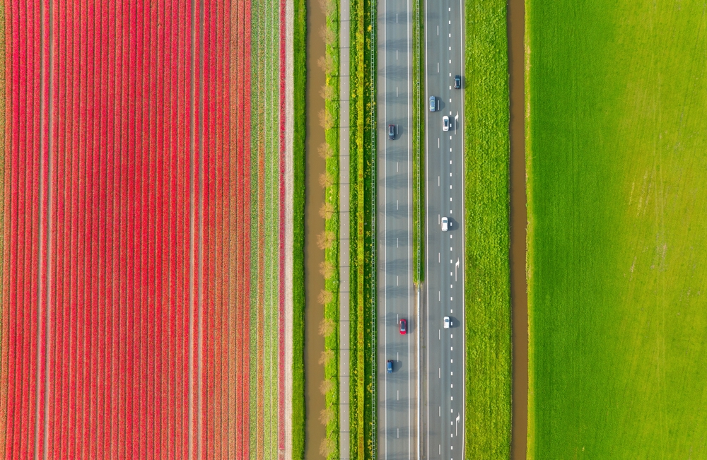 How Eight Miles Of Wildflowers Changed One Town Forever