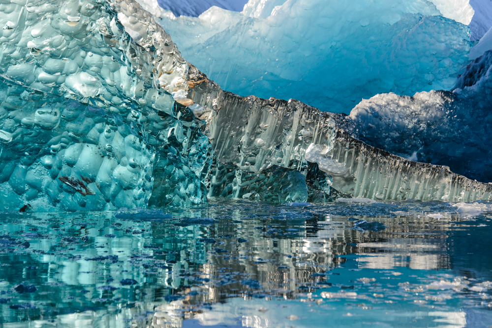 Scientists Uncover a Prehistoric Lost World Under a Mile of Antarctic Ice