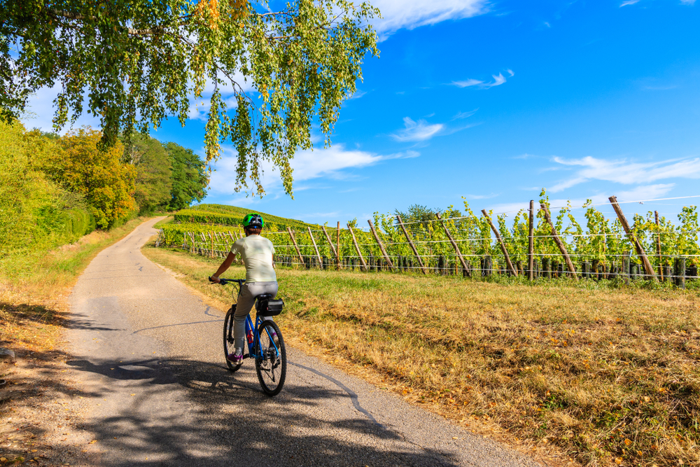 Man Cycles 5,850km Across France To Honor His Mother Who Died After 20 Years With Alzheimer’s