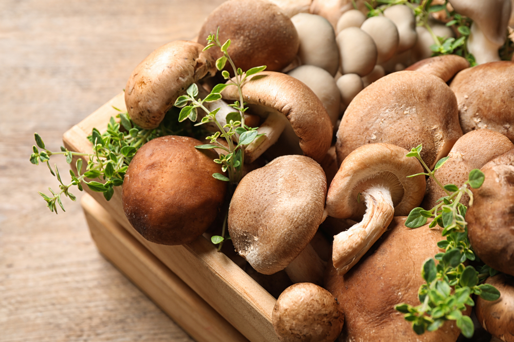 People Keep Eating This Mushroom, Then They Start Seeing Tiny People