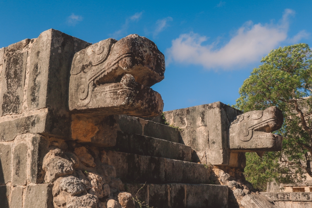 Ancient Maya Dentists Used Antibiotic Cement to Set Jade Teeth and It Still Holds After 1,000 Years