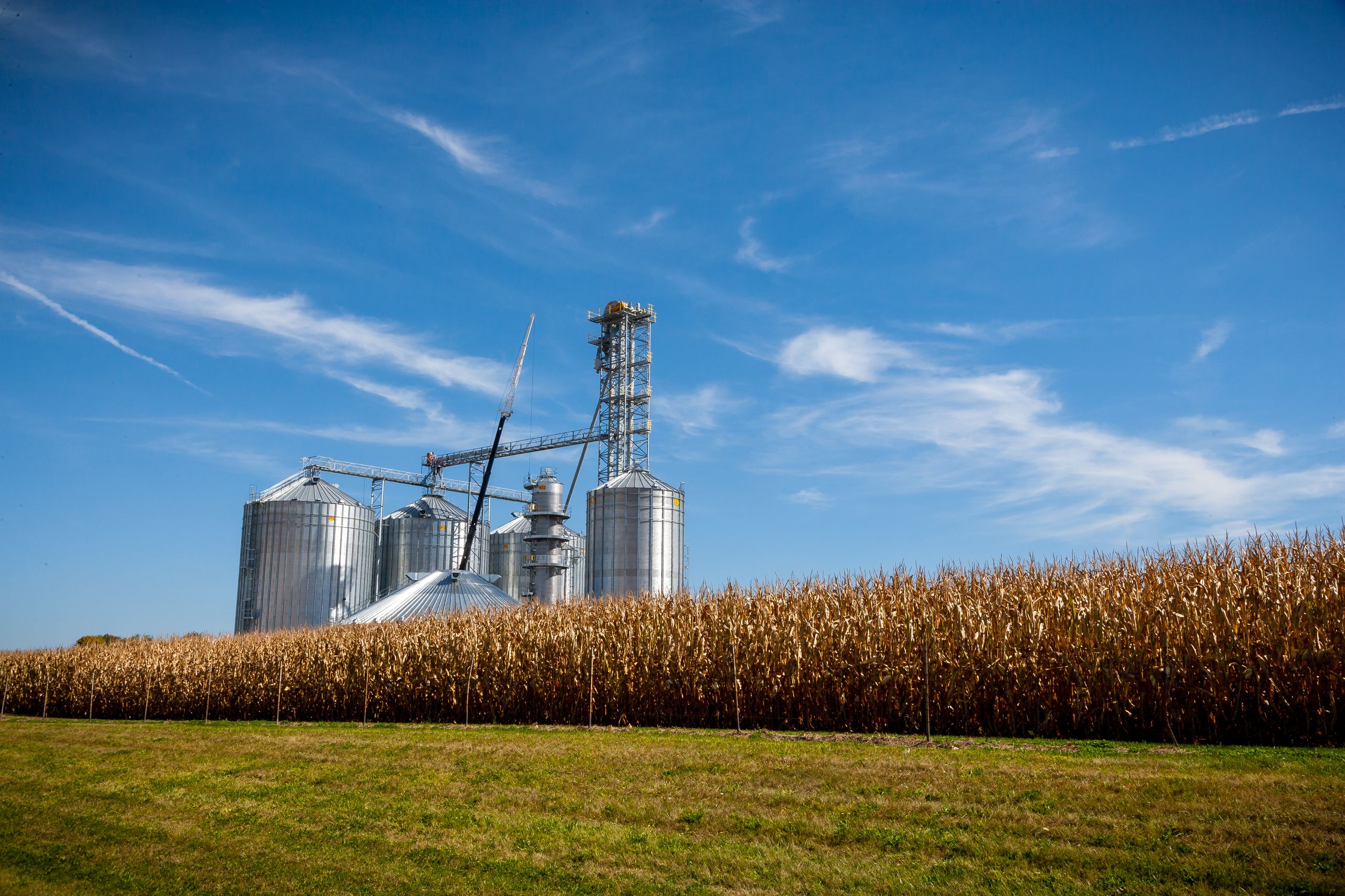 Nancy Mace Targets High Fructose Corn Syrup With New Food Bill