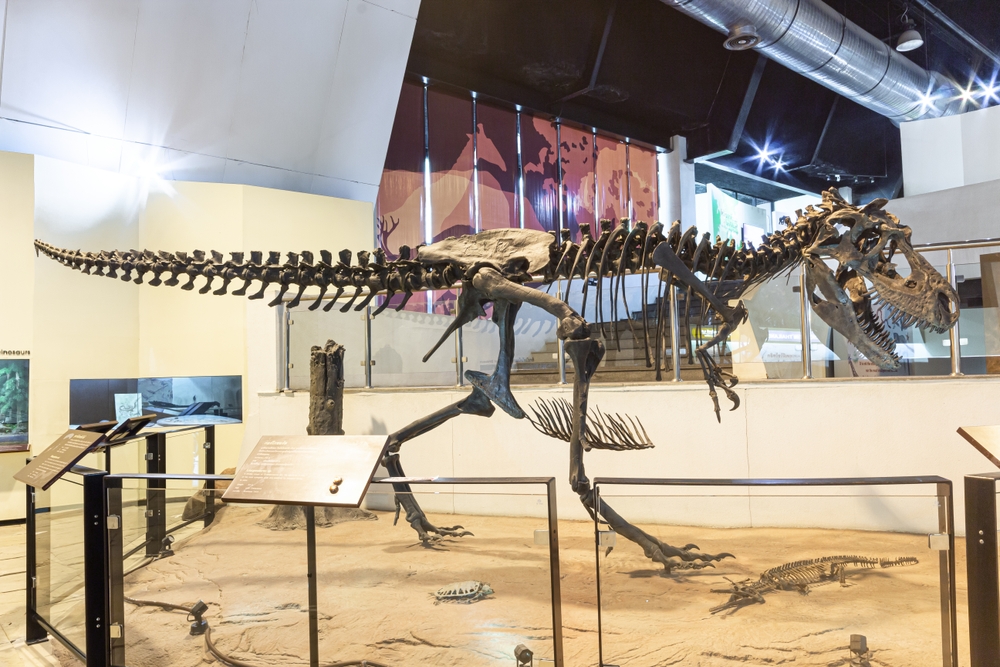 This T. Rex Fossil Could Change How Scientists Picture The Dinosaur