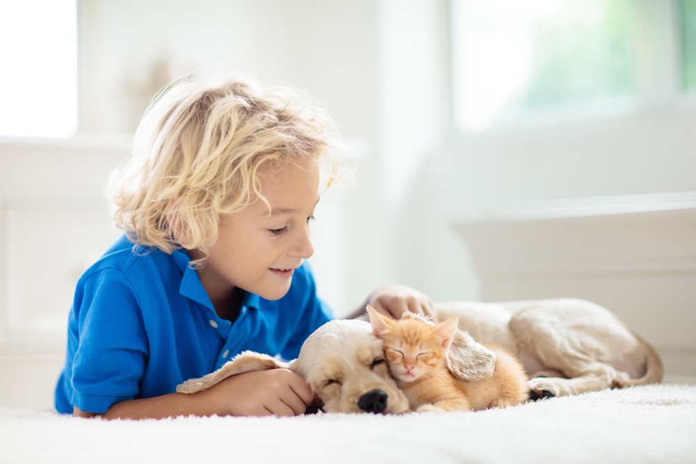 Scientists Put Cats, Dogs And Toddlers In The Same Helping Test. Cats Had A Very Different Answer