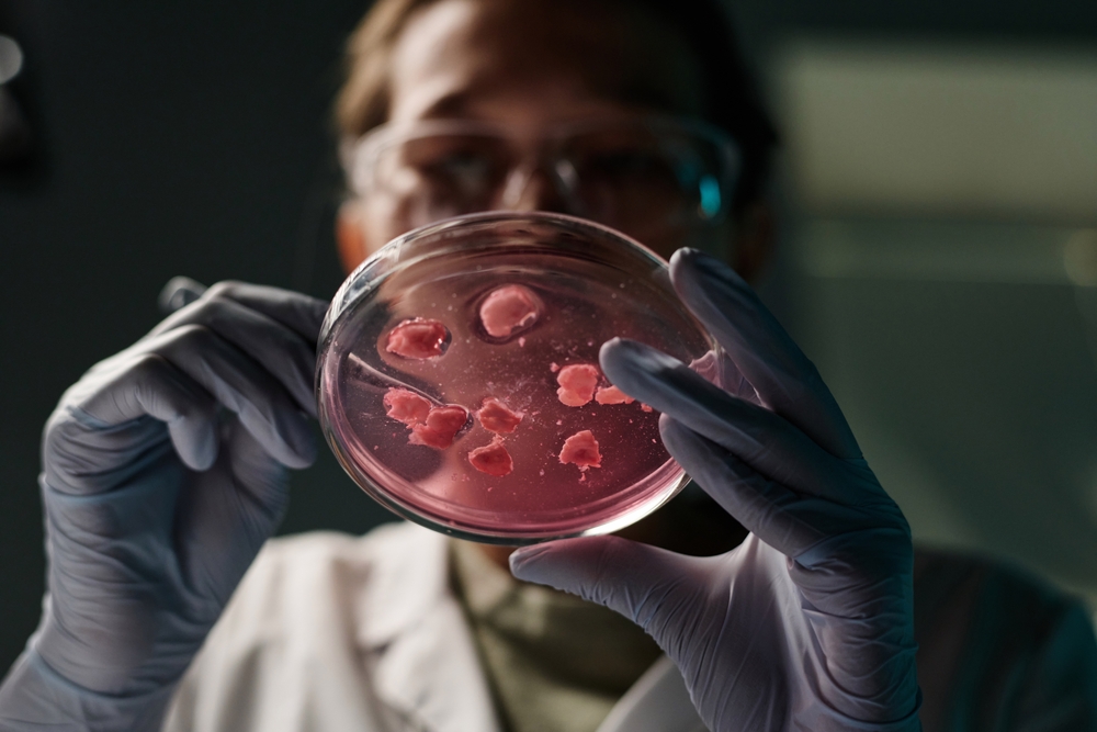 Seven US States Have Banned Lab-Grown Meat as America Battles Over the Future of Food